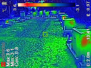 Thermografie eines Bienenstandes - Rot zeigt vitale Bienenvölker