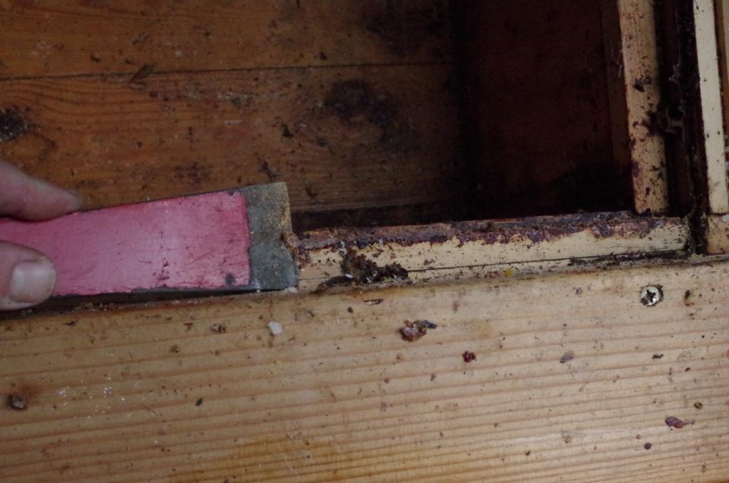 <strong>In der Zwischenzeit werden die Holzbeuten gründlich abgekratzt, das Abgekratzte sorgfältig gesammelt/entsorgt...</strong>
