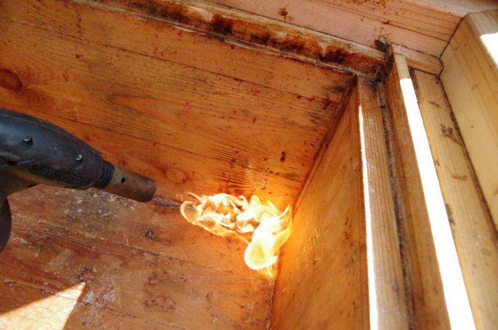<strong>...und anschließend abgeflammt. Das Holz muss sich verfärben und kleine Bläschen blubbern auf.</strong>