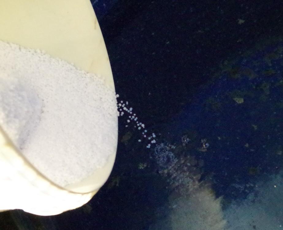 <strong>Eine Alternative ist eine 3-5%ige, kochende Natronlaugenlösung. Dazu wird das NaOH mit kompletter Schutzkleidung in das vorgelegte, kalte(!) Wasser gegeben.</strong>