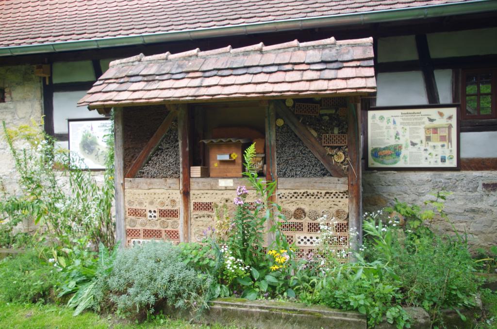Eine Wildbienennistwand