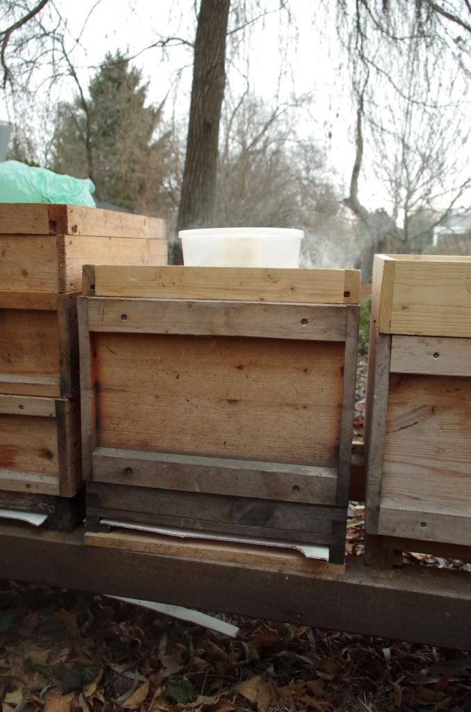 Fluglöcher und Bodengitter wurden verschlossen. Bald dringt stechender Qualm aus den Ritzen der Beute. Die Bienen brausen auf und fallen prasselnd sterbend auf den Boden.