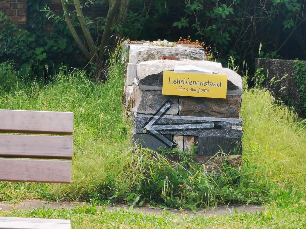 Der Weg zum Lehrbienenstand