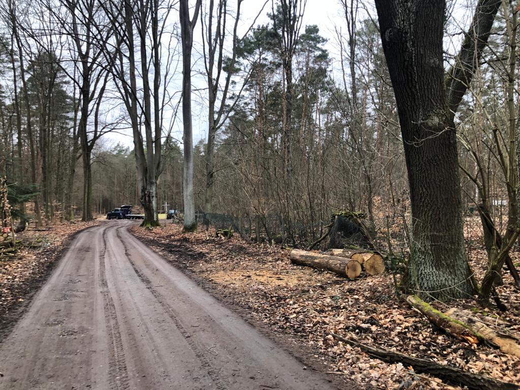 Das Elend zu Beginn der Arbeiten: teilweise eingefallen, umgekippte da verfaulte Pfosten und freie Fahrt für Wildschweine...so kann Bienenzucht nicht gelingen!