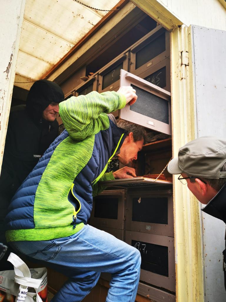 Der Bienenwagen mit Hinterbehandlung wird mit Kunstschwärmen bestückt, die zum Verkauf gedacht sind - nichts zum Damit-Imkern.