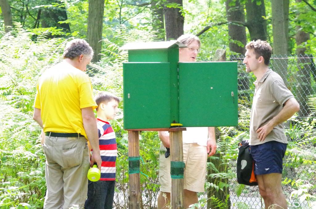 <strong>Am Schaukasten kann man in ein Bienenvolk schauen und die Königin suchen.</strong>