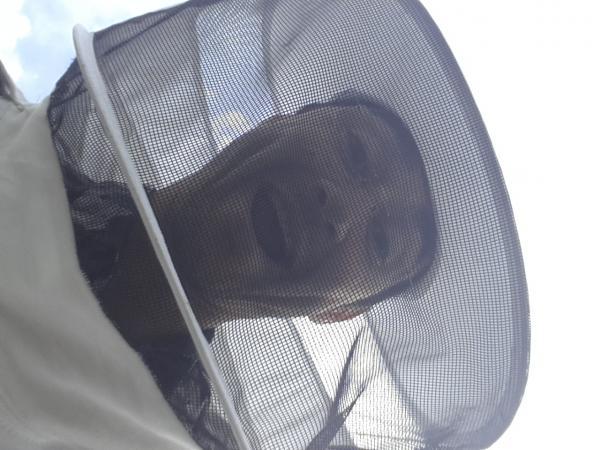 <a href="/profile-mitgliederprofil/274">Bee-lieve</a>