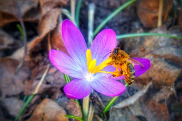 <a href="/profile-mitgliederprofil/274">Bee-lieve</a>